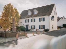 Traube Blansingen，位于埃夫林根基兴的酒店