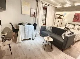 Apartment Hyper Center Strasbourg & Petite France - Entire apartment