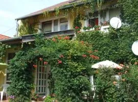 Vadszőlő Vendégház