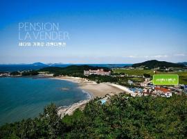 Buan Lavender Pension，位于扶安的酒店