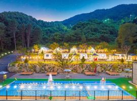 Pocheon Story Forest Caravan Glamping，位于抱川市的酒店