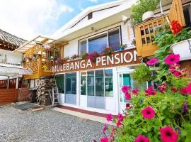 Osakae Anteo Mulraebang-a Pension