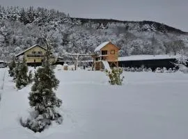 Casa de vacanta,, Seliana de Bucovina,,