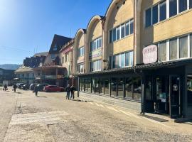 Хостел-готель Кремзлик，位于亚西尼亚的酒店