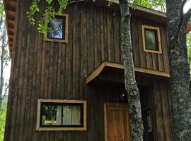 Cabañas y Casas Hualles，位于柯纳里佩的酒店