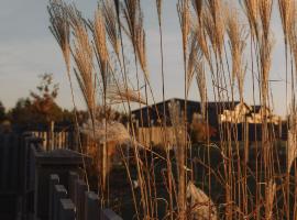 Seaside Apartments Roja，位于罗亚的酒店