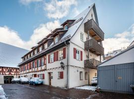 Alte Schule，位于明辛根的酒店