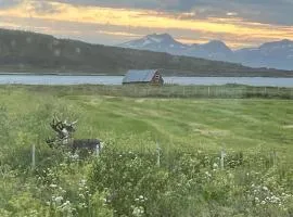 Hos Laura & Valdemar