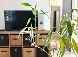 Le Gîte Ohana - Proches des plages et jardin privé