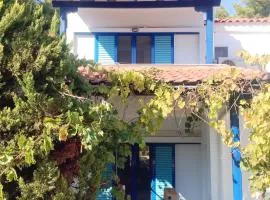 Paliouri Blue House