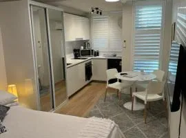 Renovated Central Studio w pool & just off Oxford St