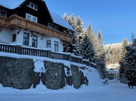 Apartm&aacute;nov&yacute; dům J&aacute;nsk&yacute; sen，位于扬斯凯拉兹涅的自助式住宿