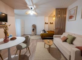 Magnifique Studio rénové centre-ville 3pers wifi，位于塞纳河畔罗米伊的酒店