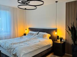 Römer Apartment，位于Kaiseraugst的酒店