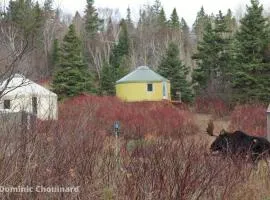 Yourtes Forillon - à 4km de marche 4km walk