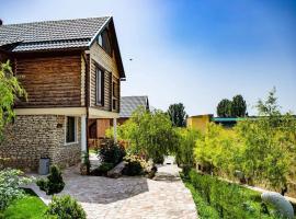 Hotel & Restaurant NistruM，位于Molovata的酒店