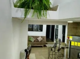 Denier House Guabinal 203
