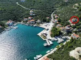 Apartments by the sea Zaglav, Dugi otok - 8134