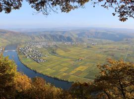 Pension "Altes Weingut"，位于诺伊马根-德赫龙的酒店
