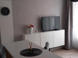 Apartmány Stříbro，位于斯特日布罗的酒店