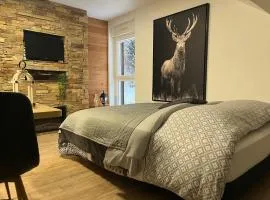 Studio Chalet Cosy Gérardmer