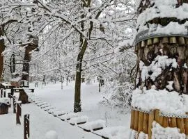 Zöld Relax Apartments