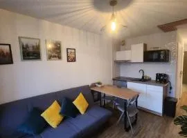 Cocon Face au MontBlanc