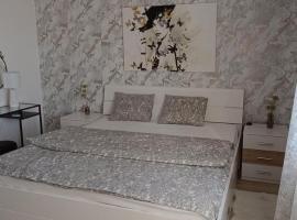Apartman Kozarčeva，位于瓦拉日丁的宠物友好酒店