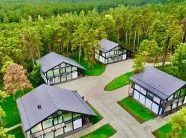 Fachwerk Borovoe