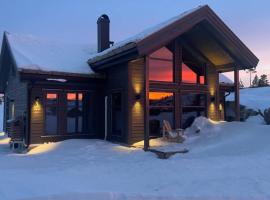 Ski in and out cabin with sauna，位于Drangedal的酒店