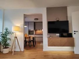 Modern apartment Konjice