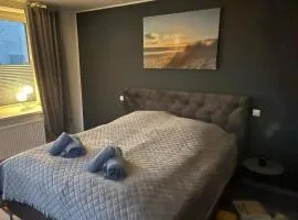 Ferienwohnung Schleswig Friedrichsberg Nähe von Schlei