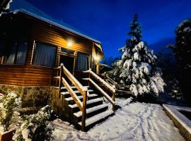 Pensiunea Ioana，位于博尔沙的带泳池的酒店