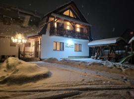 Casa Andreea，位于瓦特拉多尔内的滑雪度假村