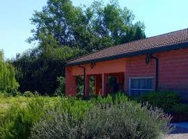 Vivai Natura Country Loft