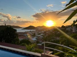 The Mary Anne Boutique Hotel USVI，位于夏洛特阿马利亚的酒店