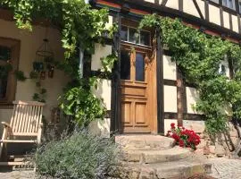 Historisches Fachwerk-Ferienhaus mit Weinkeller und Garten, gute Lage