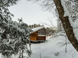 Earthboat Kurohime，位于信浓的酒店