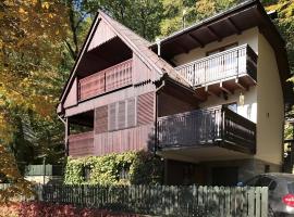 Rybaření ze sauny，位于Dobronice的酒店