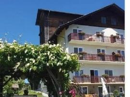 Haus Fernblick，位于Birkfeld的酒店
