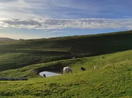 Malga Laben Apartments