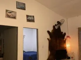 Casa em Porto de Galinhas