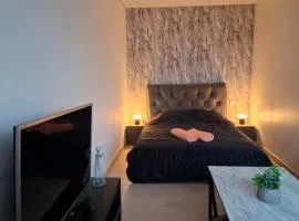 Žemaičių g apartamentai