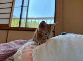 Nyanstay: A place where you can stay with cats - Vacation STAY 17979，位于吴市的酒店