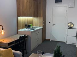 Apartman Glečer Vila Bela Reka，位于布尔泽策的酒店