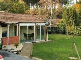 Entre pins et océan