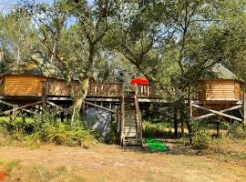 Les cabanes de la palombière，位于Allons的酒店