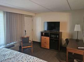 Americinn by Wyndham Birch Run - Frankenmuth，位于伯奇伦的酒店