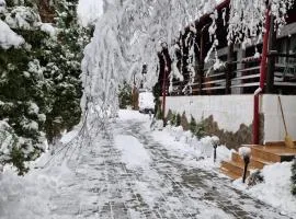 Rare Forest Retreat & Spa