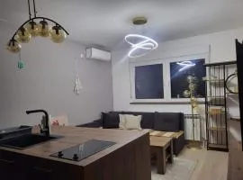 Vrnjacka Banja apartman u centru